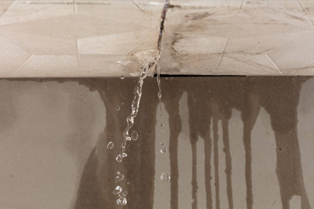 Professional Water Damage Restoration technician working in Erwin, TN
